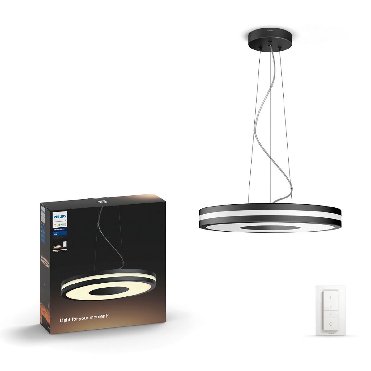 Being zwart hanglamp
