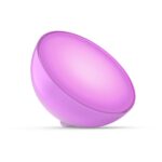 Philips Hue Go