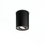 Philips Hue Pillar 1-spot wit zwart dimmer switch